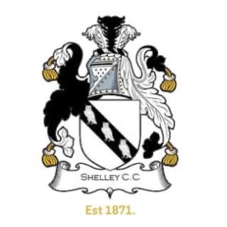 Shelley Cricket Club Bonfire