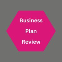 Sayers Solutions services - Business Plan Review