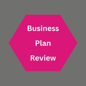 Sayers Solutions services - Business Plan Review