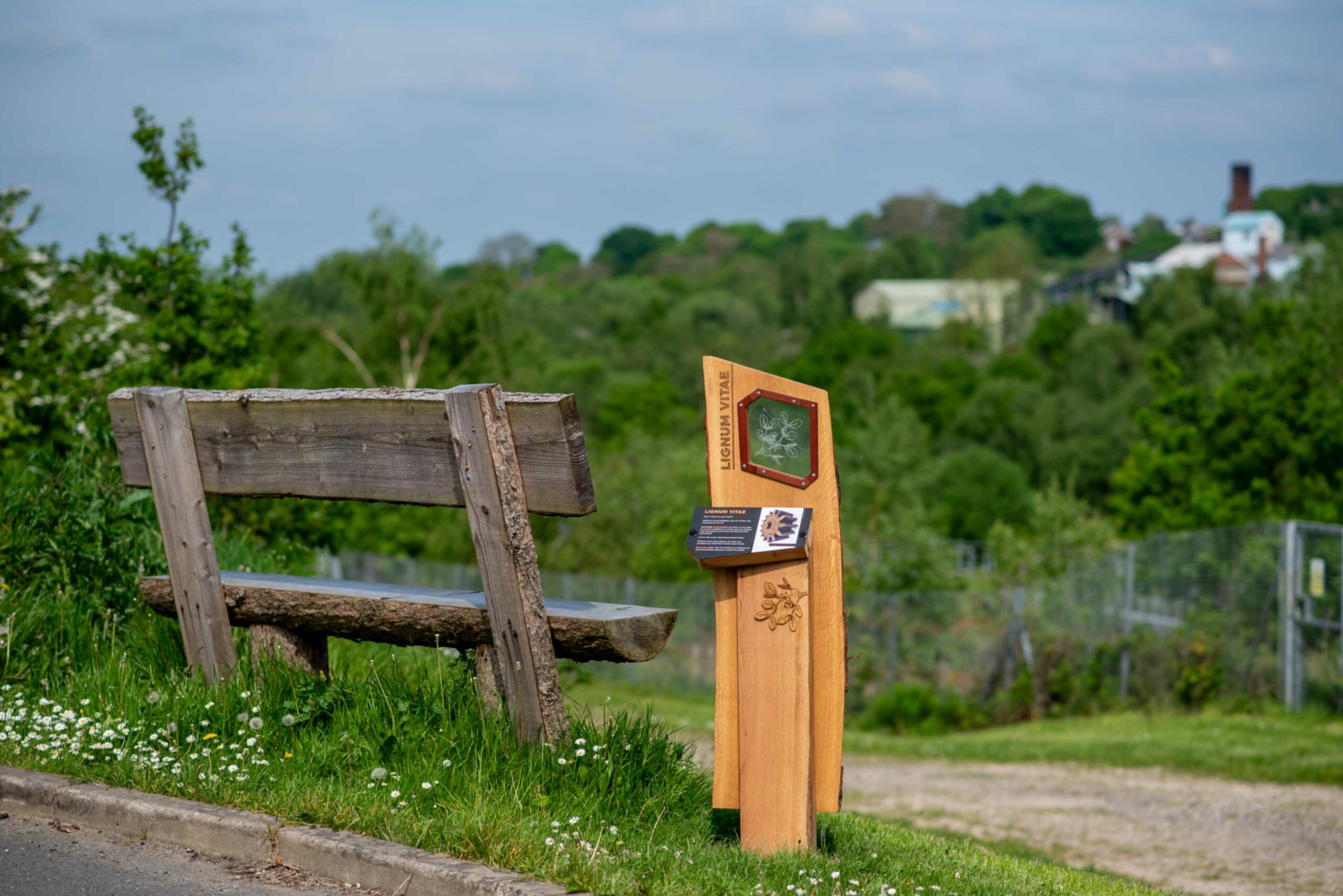 Discover Pit Wood: A Guided Walk