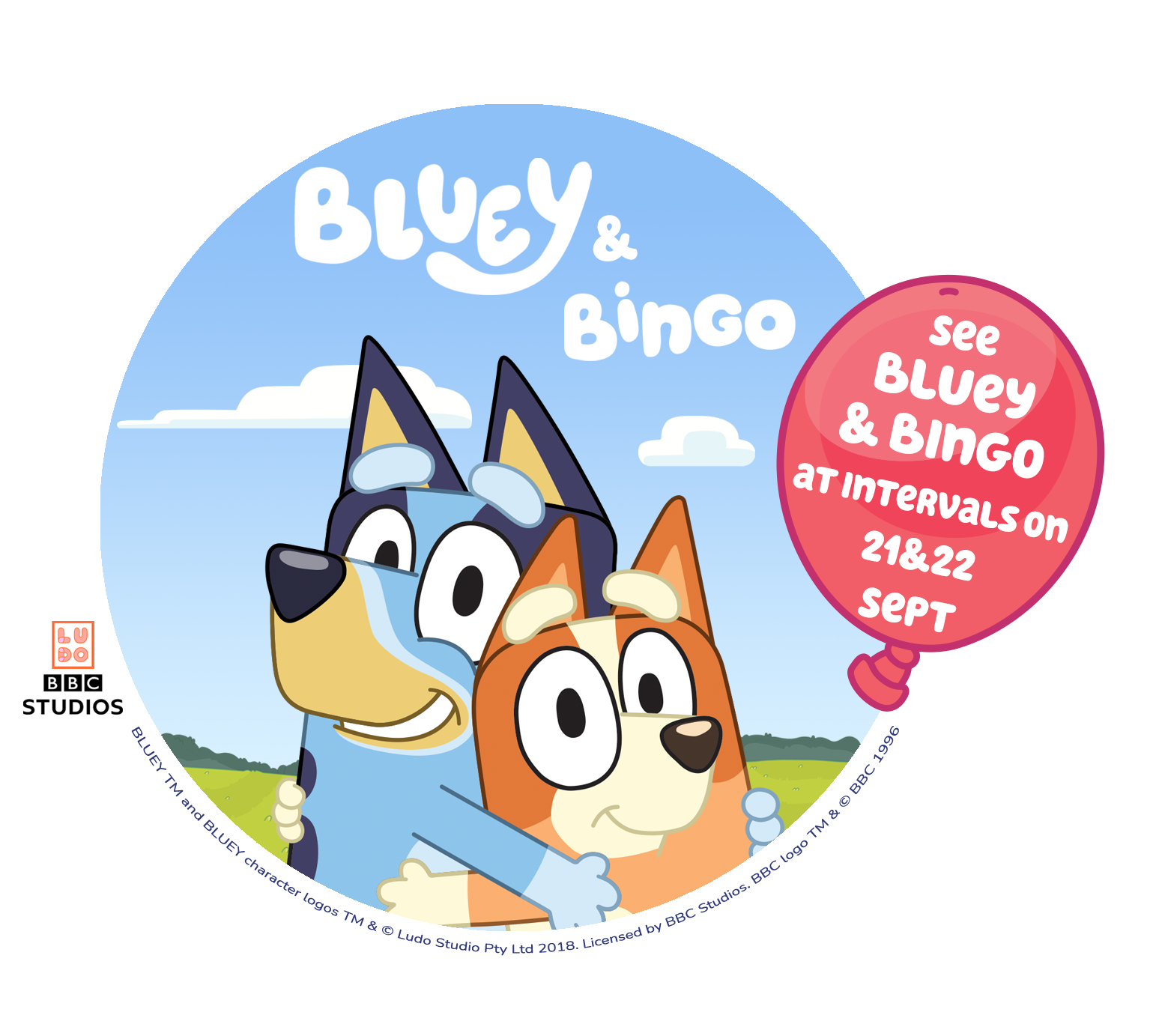 Bluey and Bingo