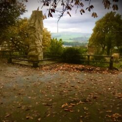 Cliffe Wood Conservation Group