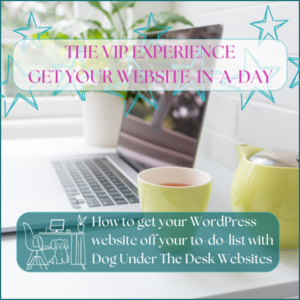 THE VIP EXPERIENCE GET YOUR WEBSITE-DONE-IN-A-DAY