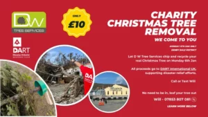 DW-Tree Services Charity X-mas Tree disposal